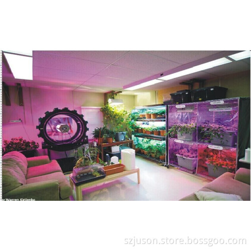 6306 Aircraft Aluminum Lamp Body LED Grow Lamp 300W 150W Indoor Greenhouse Grow Tent Plant Grow Light